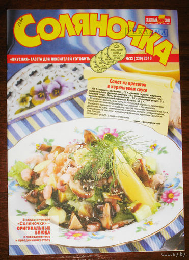 Соляночка. Для любителей готовить  номер 22  2009