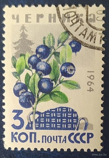 СССР 1964 черника, ягоды 1 из 7.
