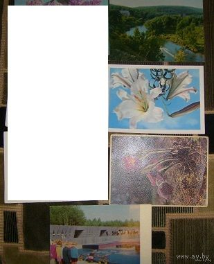 Почтовые карточки СССР,No5