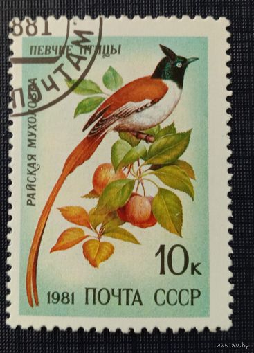 Марка СССР 1981 Певчие птицы