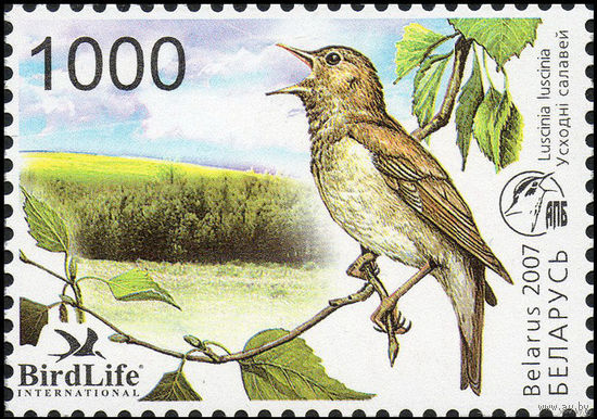 Беларусь. 2007г. Восточный соловей. Птица года.