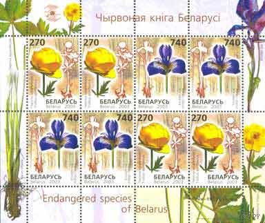 Редкие виды цветов Беларусь 2003 год (513-514) 1 малый лист