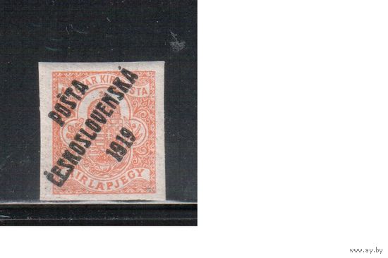 Чехословакия-1919,(Мих.113)  **  , Стандарт, Надп. на марках Венгрии
