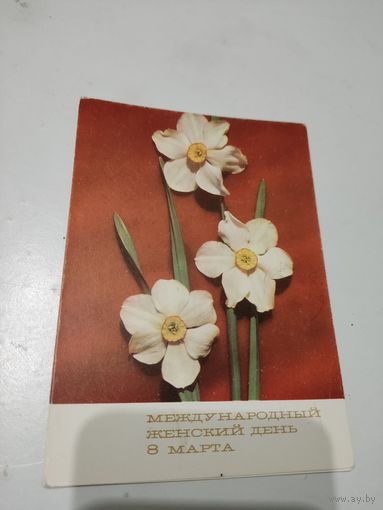 Открытка "Международный женский день 8 марта" фото Г.Костенко,  1971г. цена за единицу