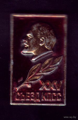 XXV съезд
