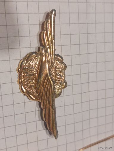 Значок юный пилот Швеция