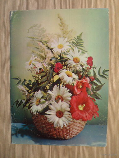 ПОДПИСАННАЯ ОТКРЫТКА. СССР. КОМПОЗИЦИЯ ИЗ ЦВЕТОВ. фото. Г. КОСТЕНКО. 1985 г.