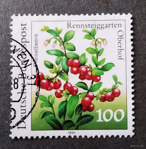 Марка Германия 1991 год Ягоды