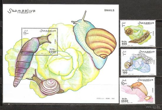 Сомали 2003 Фауна Ракушки Моллюски MNH