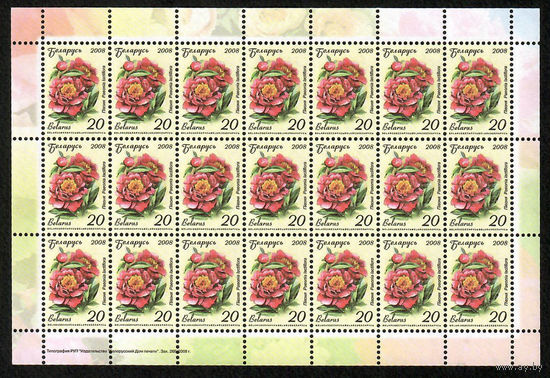 Беларусь. 2008. Стандарт. Пион (20р) (з.266-2008) Лист