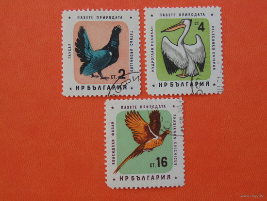 Болгария 1961г. Дикие птицы.