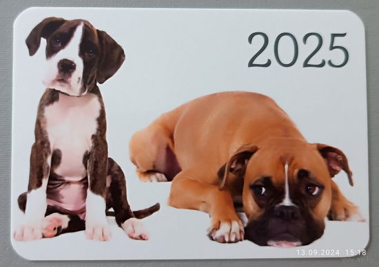Собаки. Календарик, 2025, глянец