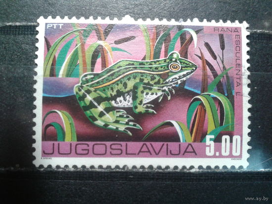 Югославия, 1976. Водяная лягушка
