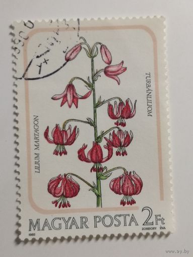 Венгрия 1985. Флора. Цветы. Лилии