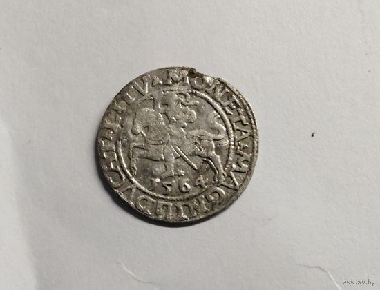 Грош 1564 г