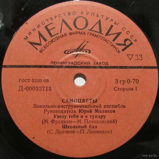 ВИА ''Самоцветы'' (Увезу тебя я в тундру) (7'')