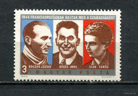 Венгрия - 1974 - Венгерские бойцы сопротивления - [Mi. 2928] - полная серия - 1  марка. MNH.  (Лот 103CV)