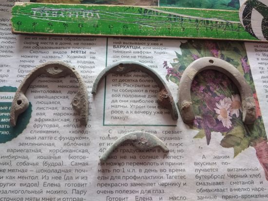 Подковы от сапог. Находка