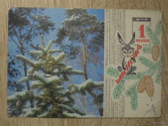 ПОДПИСАННАЯ ОТКРЫТКА СССР. "С НОВЫМ ГОДОМ". фото. Б. РАСКИНА. 1969 год.
