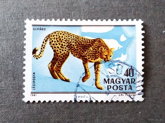 Марка Венгрия 1981 год Фауна