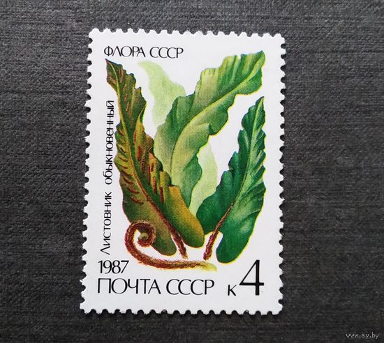 Марка СССР 1987 год Папоротник