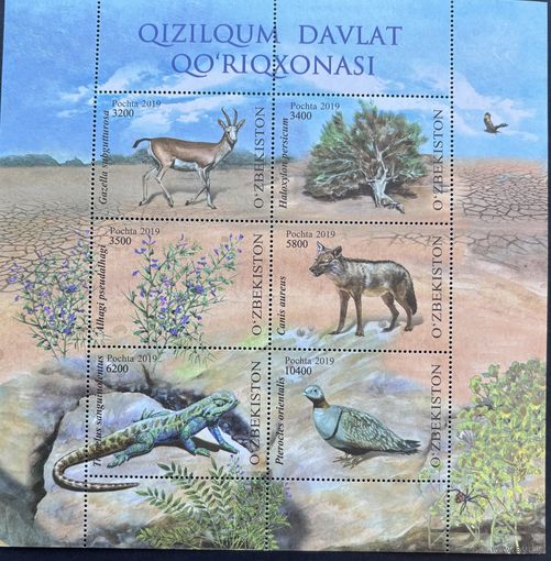 Узбекистан 2019 Фауна . Кызылкумский заповедник. Малый Лист