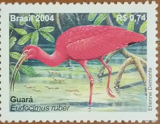 Бразилия 2004. Фауна. Гуара. Eudocimus Ruber