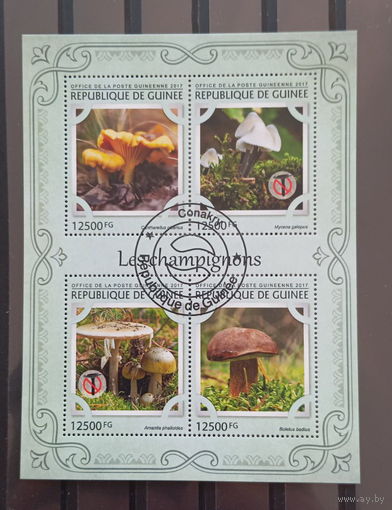 ЛИСТ ФЛОРА ЦВЕТЫ ГРИБЫ  СТО