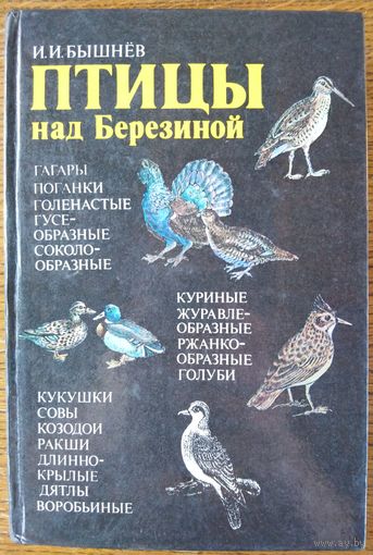 Птицы над Березиной.  Много фото!  Прекрасное издание!
