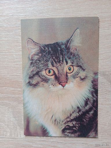 Календарик 1990