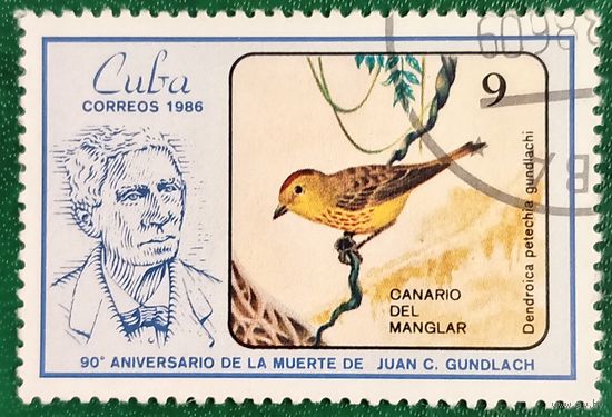 Куба 1986. Фауна. Птицы. Мангровая певунья