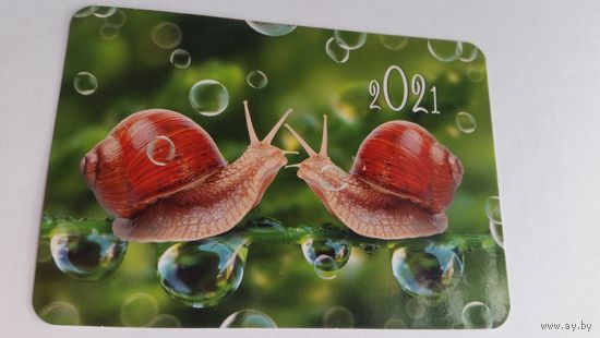 Календарик.Улитки.