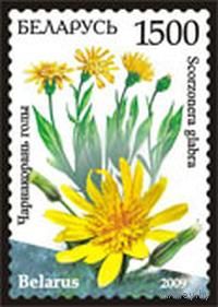 Марки "Чернокорень голый", "Кураслеп лесной"