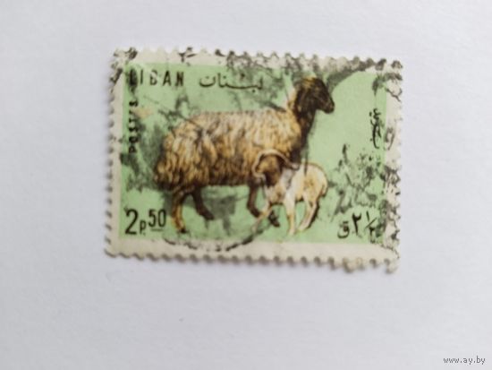 Ливан   1965 овцы