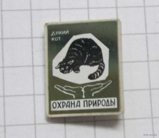 Охрана природы. Дикий кот