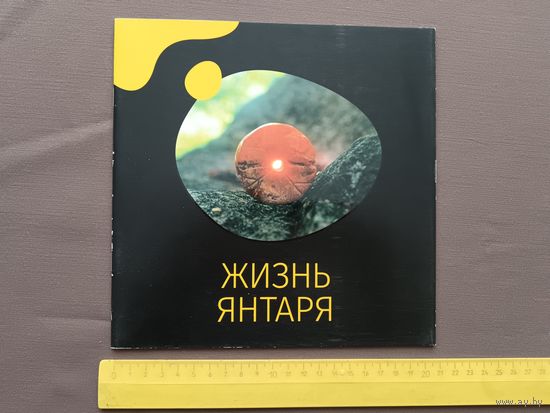 Красочная брошюра Жизнь янтаря (3375)