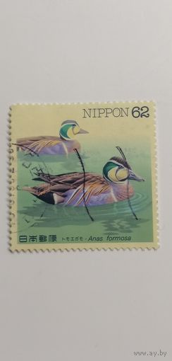 Япония 1993. Утки.