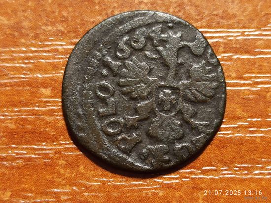 Боратинка солид 1664