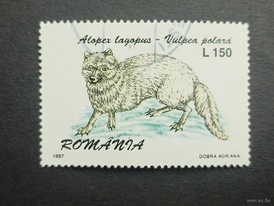 Румыния 1997. Пушные звери. Песец