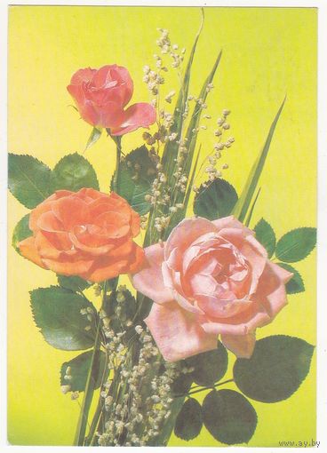 Открытка 1991 (511)
