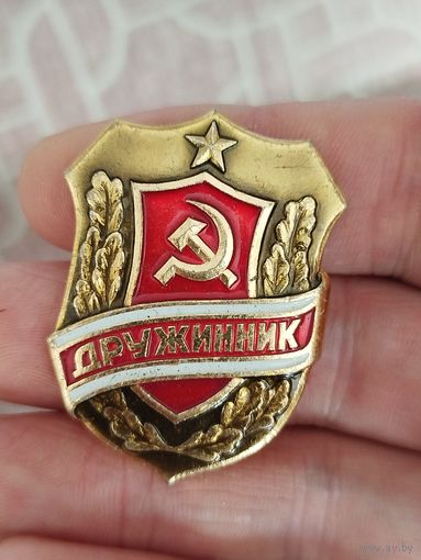 Дружинник