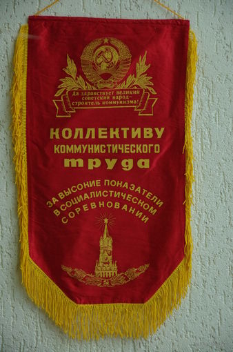Вымпел (  41 х 72 )