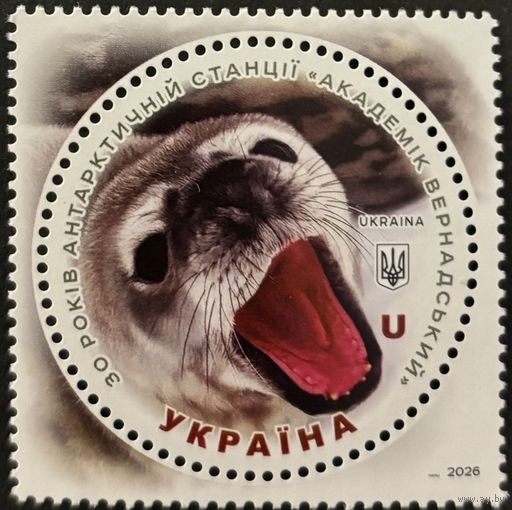 Украина 2026. Антарктическая станция Акадкмик Вернадский . Фауна. Тюлень.