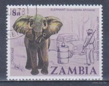 [2297] Замбия 1978. Фауна.Африканский слон. Гашеная марка.