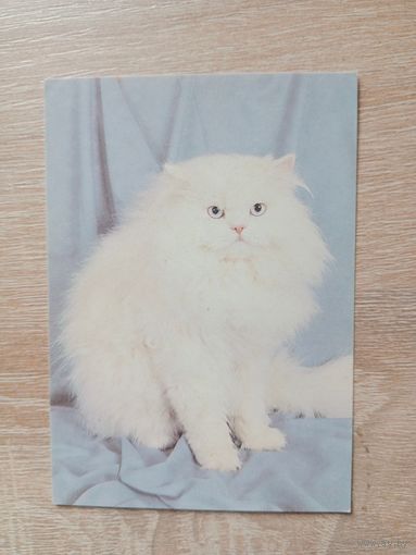 Календарик 1993