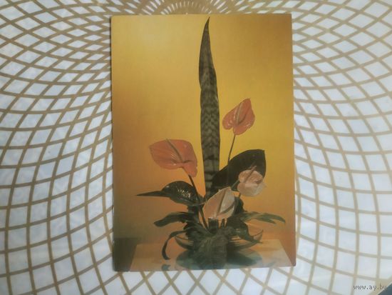 Открытка СССР 1986 год.   Чистая. Ю.Левянта . Состояние на скане.