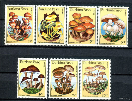 Буркина Фасо - 1985г. - Грибы - полная серия, MNH [Mi 1054-1060] - 7 марок