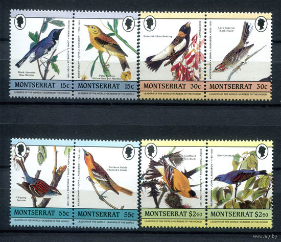 Монтсеррат - 1985г. - Птицы - 8 марок - 4 сцепки - полная серия, MNH [Mi 597-604]. #O-Se-Z-1-3