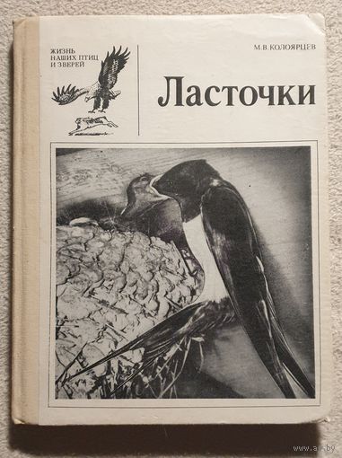 Ласточки | Жизнь наших птиц и зверей | Выпуск 10 | Птицы | М. В. Колоярцев