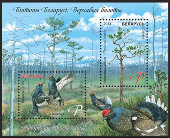 2014. 1022-1023. Биотопы Беларуси. Верховые болота **